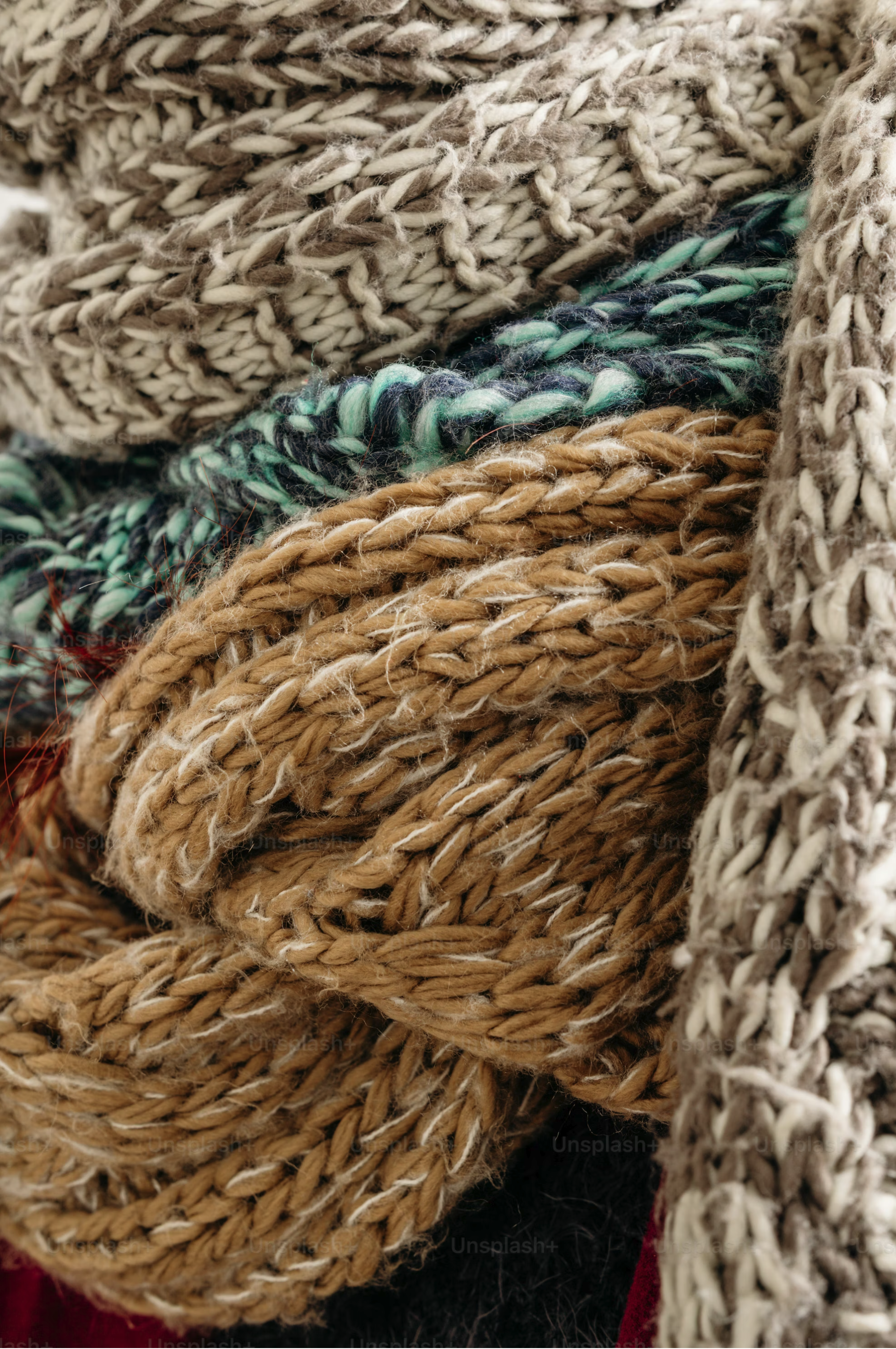 Alpaca herd at Moonview Studio farm in Camas, WA